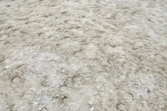 20250705_210548