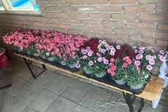 IMG-20250702-WA0000