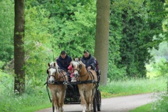 IMG_8868