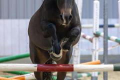 IMG_0043-Verbeterd-NR-1024x1535