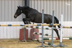 IMG_0065-1024x682