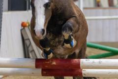 IMG_0294-Verbeterd-NR-1024x1535
