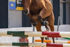 IMG_9279-1024x1535