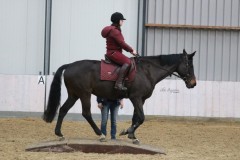 IMG-1124