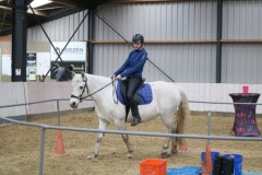 IMG-1193