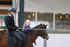IMG-1317