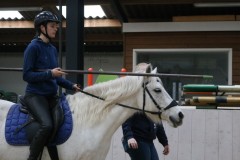 IMG-1339
