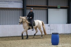 IMG-1412