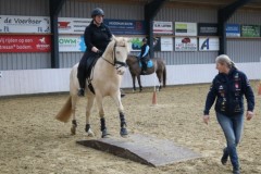 IMG-1460