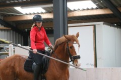 IMG-1535