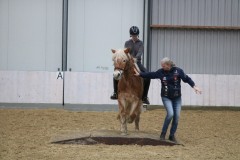 IMG-1895